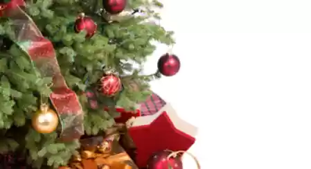 Alberi di Natale per tutti