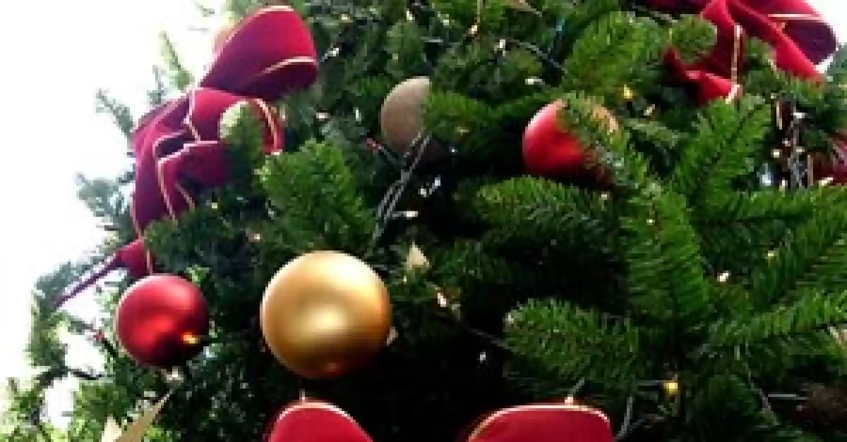 Scegliere l'Albero di Natale - Albero finto o vero?