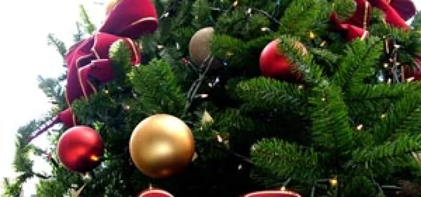 Scegliere l'Albero di Natale - Albero finto o vero?
