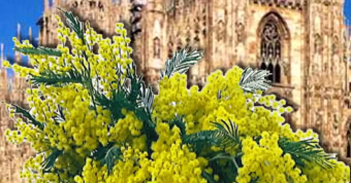 Festa della Donna 2024 a Milano