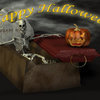 Wallpaper Halloween - scheletro