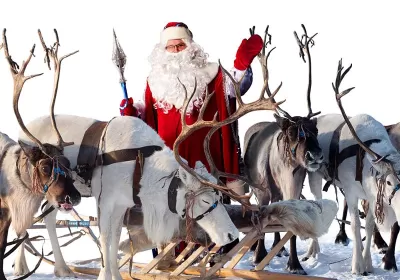Le renne di Babbo Natale - nomi, storia e caratteristiche delle renne di Natale 