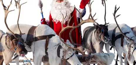 Le renne di Babbo Natale - nomi, storia e caratteristiche delle renne di Natale 