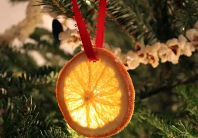 Decorazioni per l'albero di Natale con le arance secche