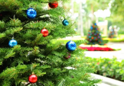 Tradizioni e origini dell'albero di Natale